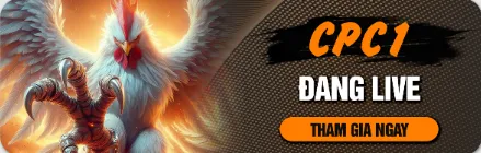 Xem live gà CPC1