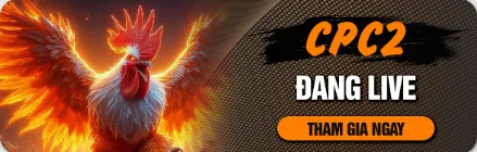 Xem live gà CPC2