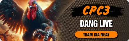 Xem live gà CPC3