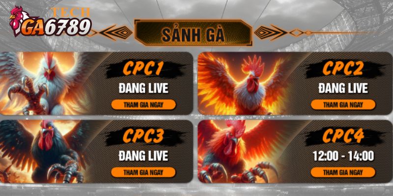 Trận đấu đá gà SV388 live từ bồ CPC1, CPC2, CPC3, CPC4